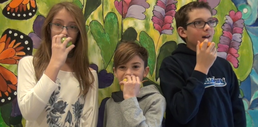 «De l’eau pour tous, pour toujours?» à l’École du Ruisseau