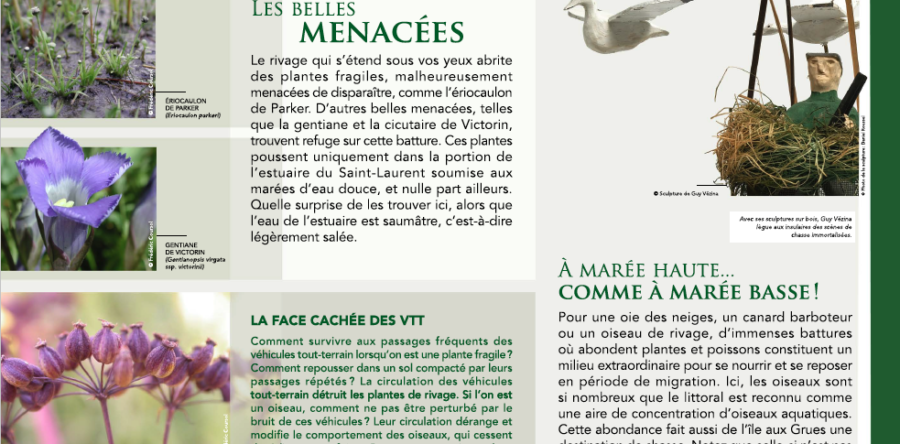 2012 : Avec Jean-Paul-Riopelle